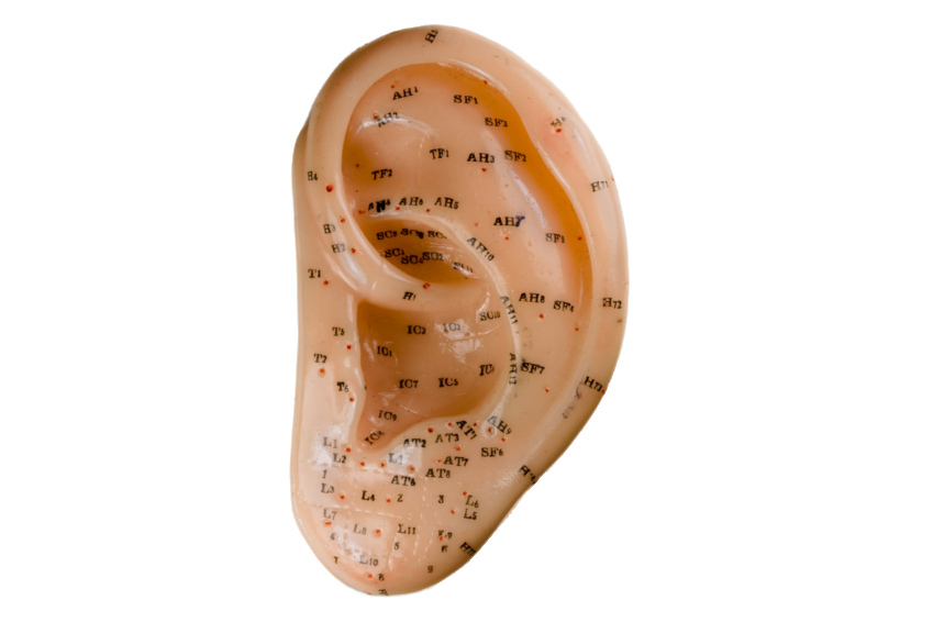 Zonen der Ohrakupunktur